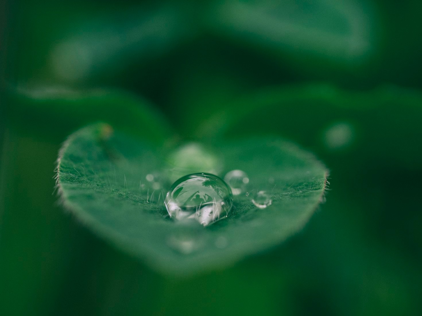 How Provita Can Transform Your Well-Being