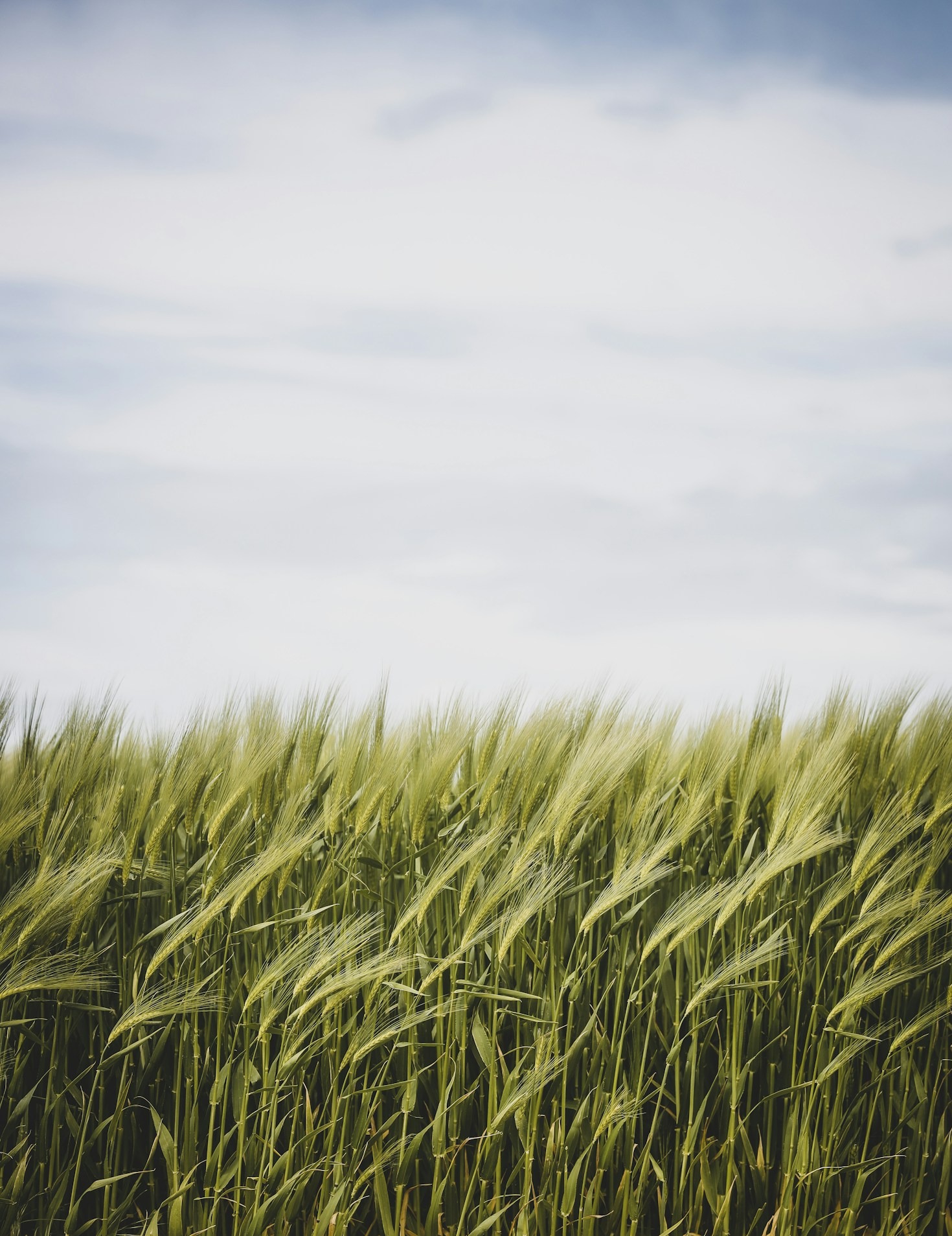 Essential Tips for Balanced Nutrition